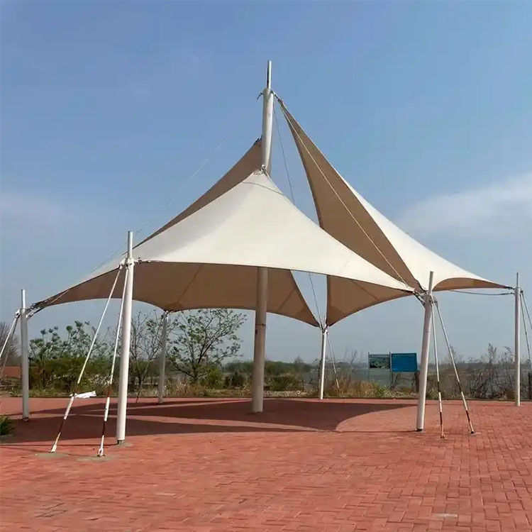 武清区膜结构景观棚